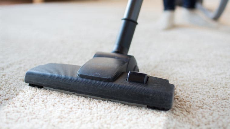 professional carpet cleaning from brightspark solutions cleaning services